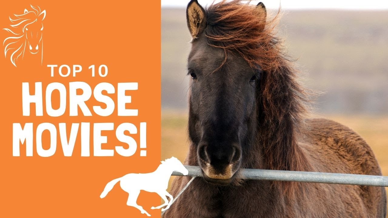 Best Horse Movies: 7 Inspiring Tales of Friendship and Courage