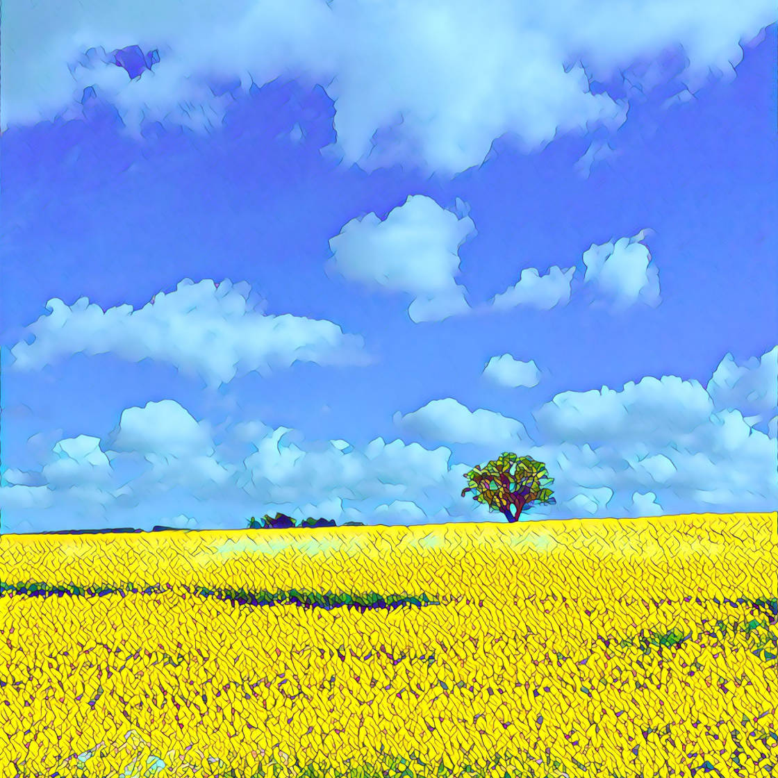 Prisopplæringsprogram for apper: Gjør iPhone-bildene dine til farger og bilder