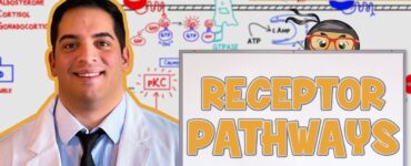 Resepter for sunne og deilige måltider som hele familien vil elske