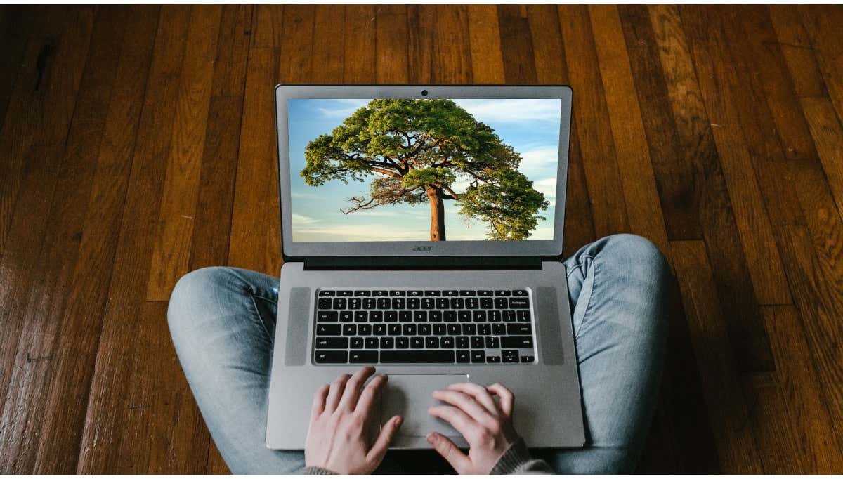 Så här ändrar du din Chromebooks bakgrund (och var du hittar roliga bakgrundsbilder)