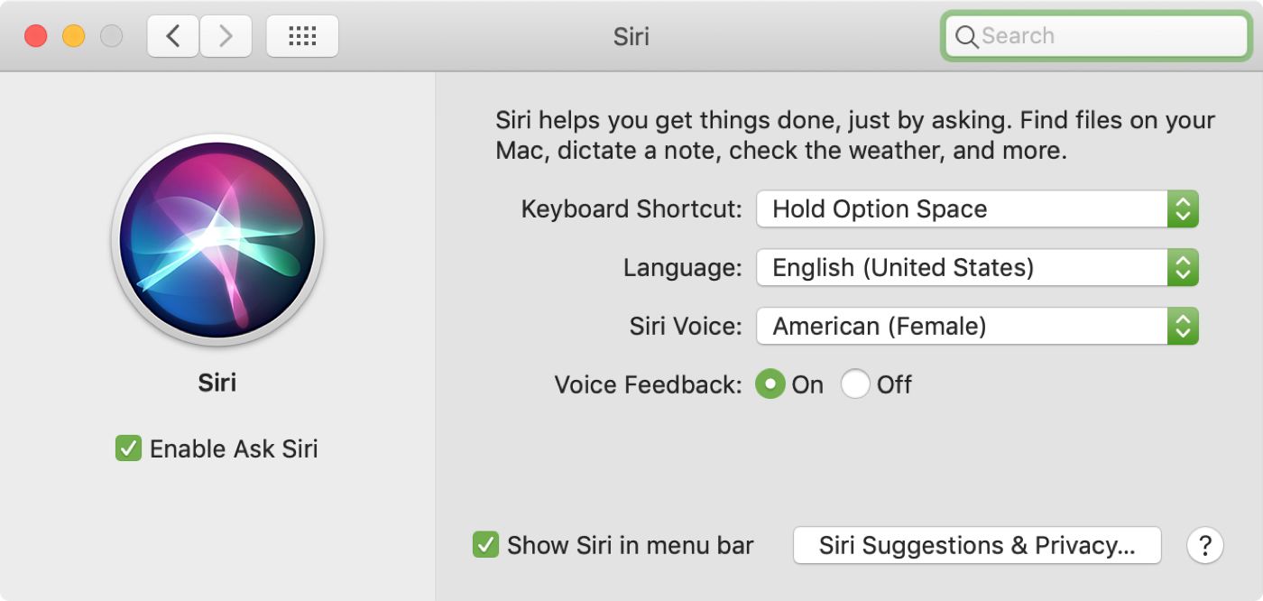 Siri Preferences Mac