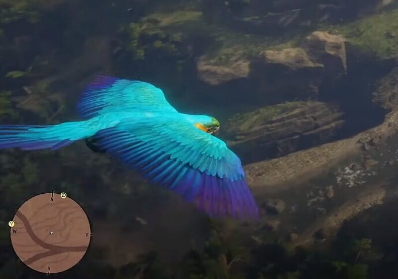 Mod sa zmení na Red Dead Redemption 2 v mierovom simulátore vtákov 4