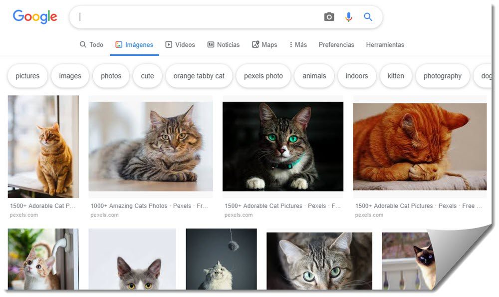 So suchen Sie bei Google nach Bildern ohne Copyright