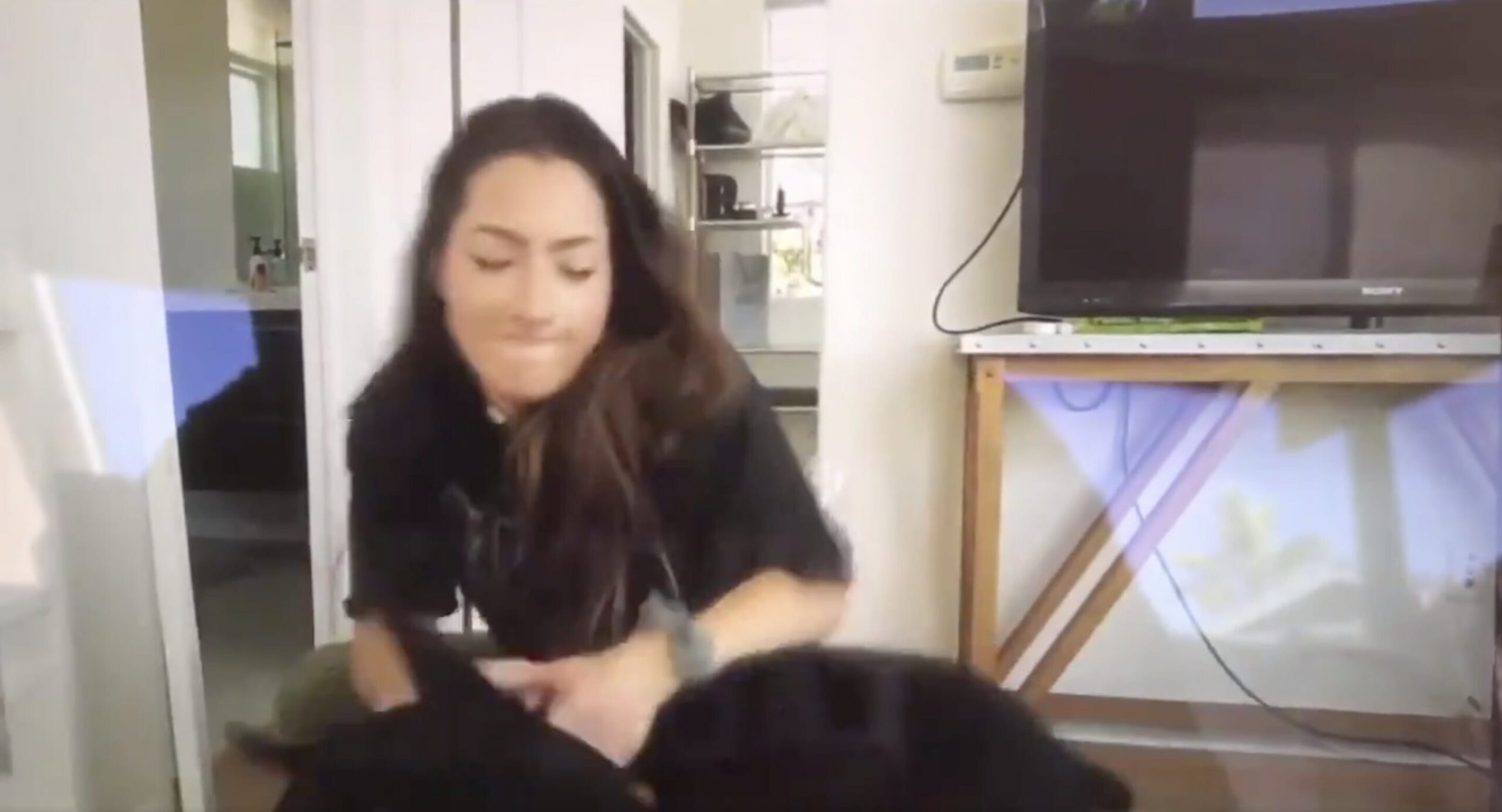YouTuber Brooke Houts hat versehentlich ein Video hochgeladen, in dem sie ihren Hund misshandelt. Die Polizei ermittelt gegen sie