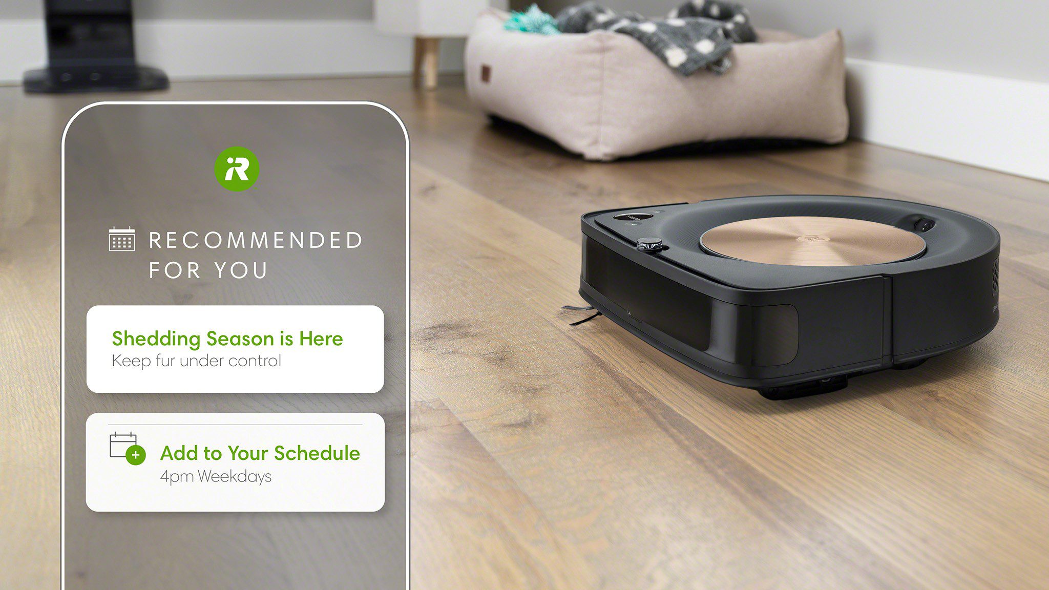 Ihr Roomba wird dank eines KI-gestützten App-Updates viel intelligenter 251