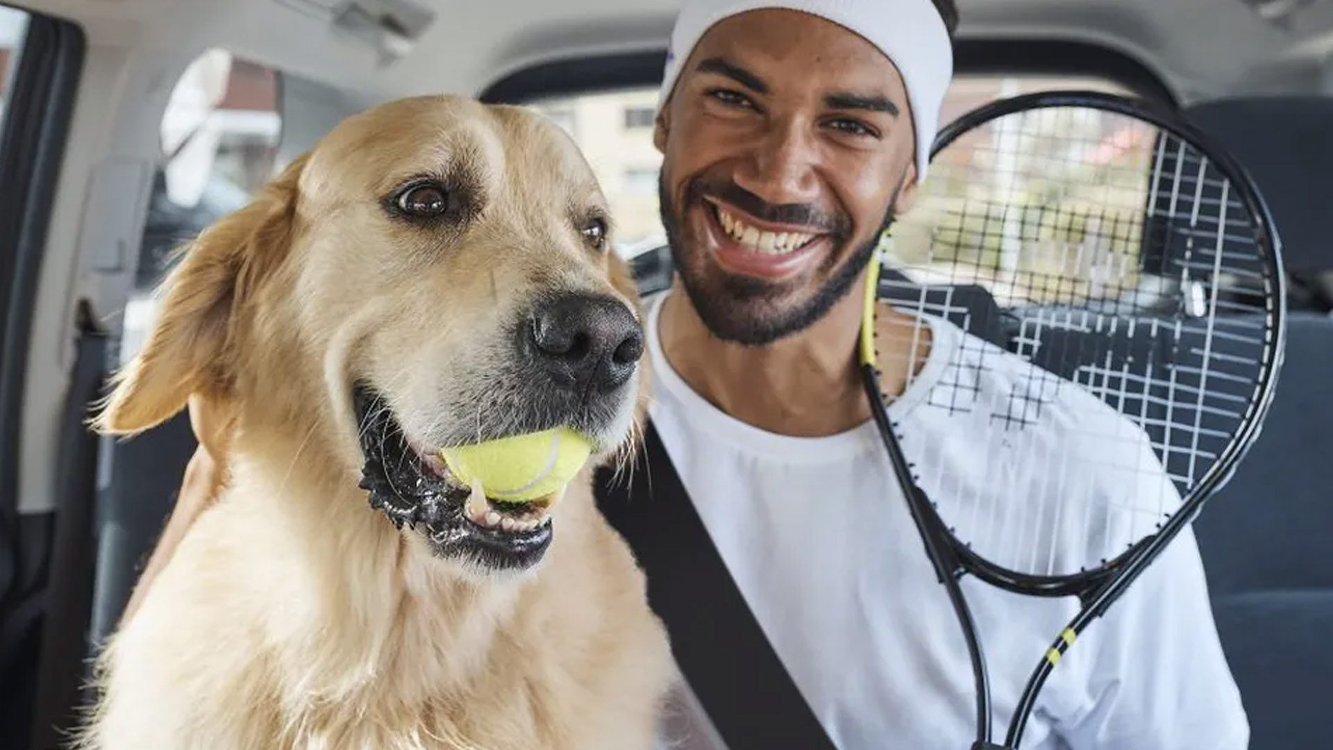 Mit Uber Pets kann Ihr Hund auch Gig-Economy-Mitarbeiter nutzen 9