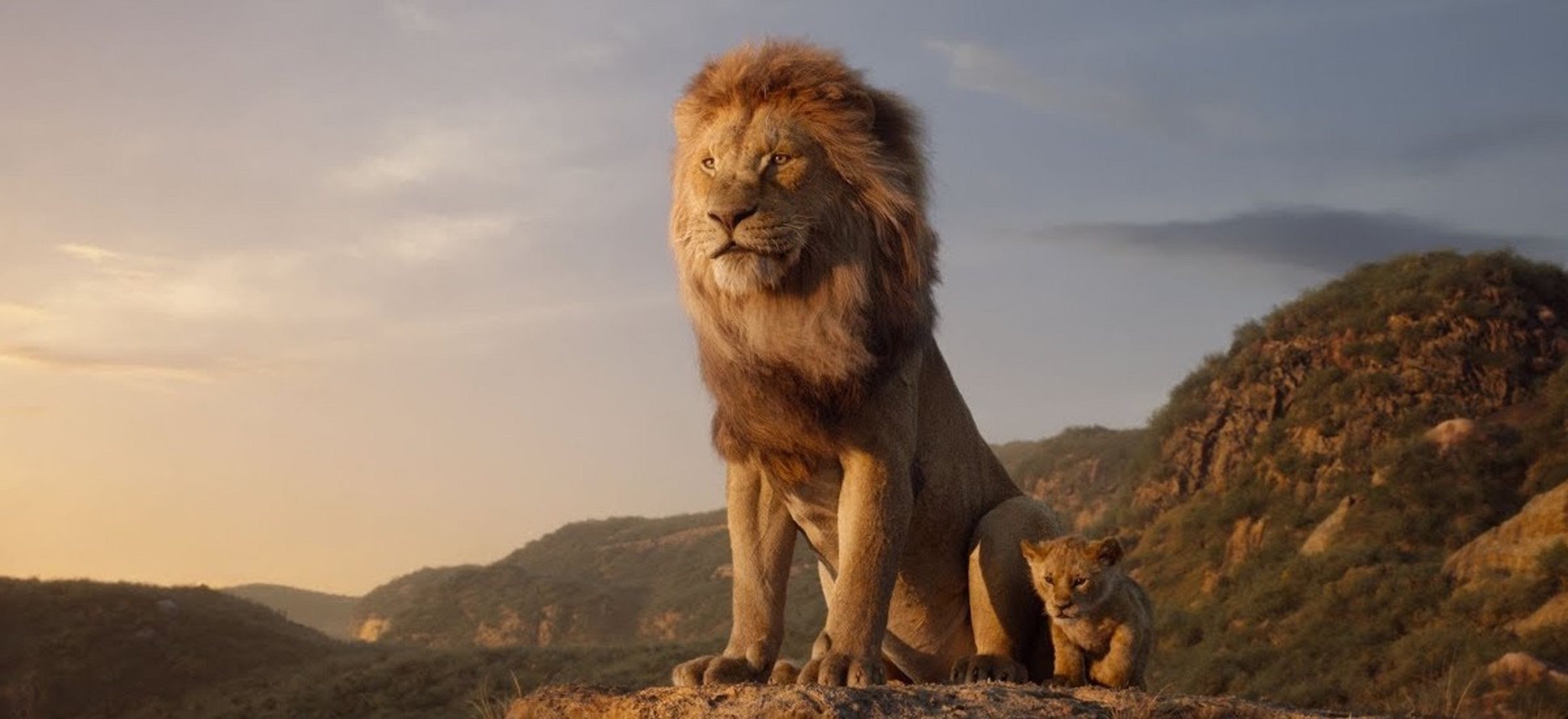 Das Remake des Films "Der König der Löwen" wird das Original-Prequel erhalten. Die Produktion von Barry Jenkins erzählt die Geschichte von Mufasas Vergangenheit 10