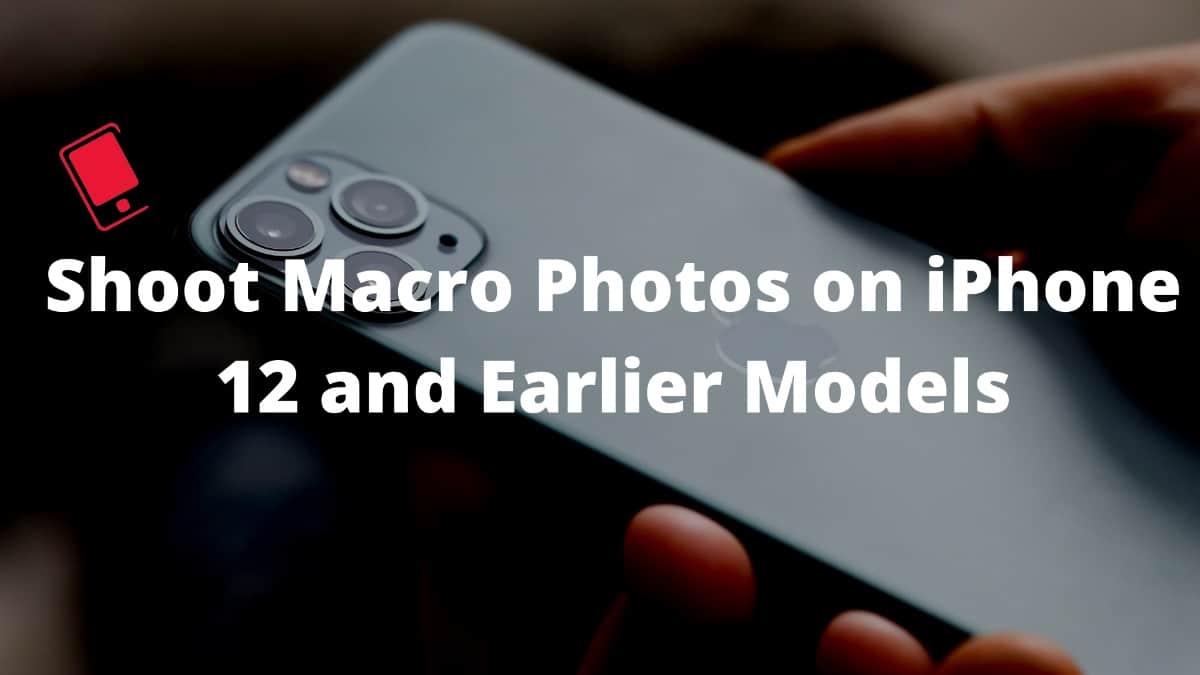 So nehmen Sie Makrofotos auf dem iPhone 12, iPhone 11 und Ã¤lteren iPhones auf 266