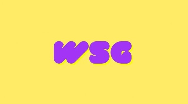Was bedeutet WSG?
